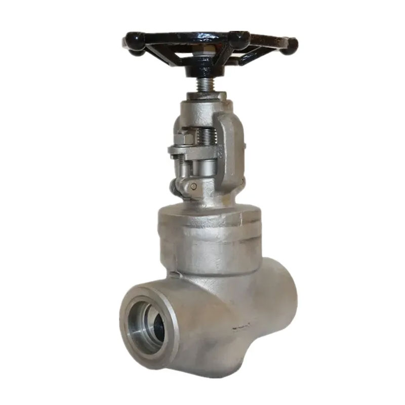 Roestvrijstalen socket gelaste Bonney Forge Globe -klep