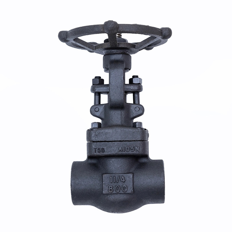 Gesmede schuifafsluiter 800LBS