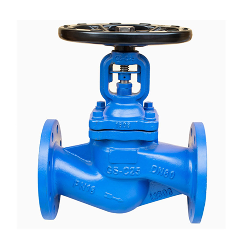GS-C25 Flense Din Standard Bellow SEAL GLOBE KLEP